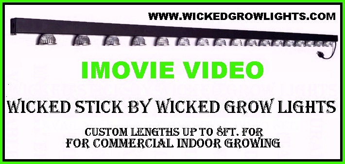 vertical grow lights led tent room warehouse indoor hydroponics
