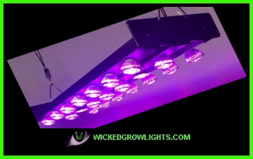 medical marijuana led grow room light