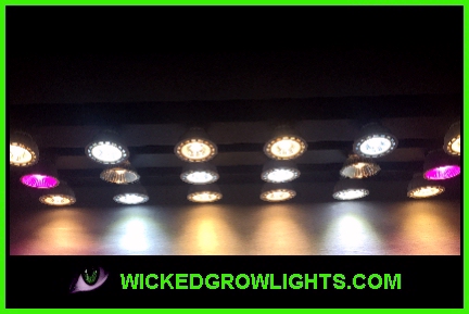 best indoor grow lights cob led bulbs diy 420 magazine