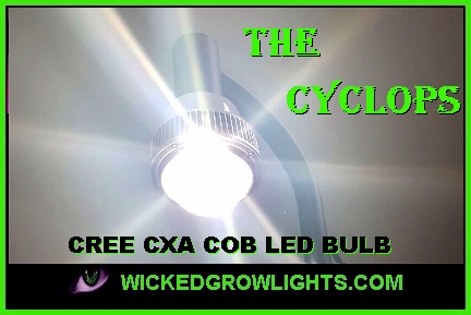 cree cxa cob led grow medical tent light