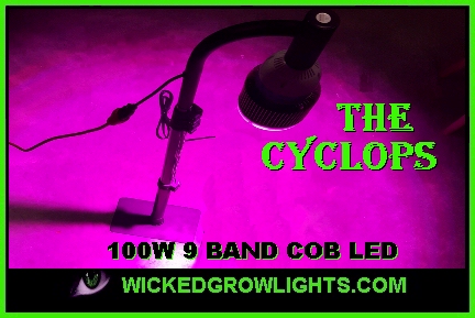 cree cxa led grow light bulb 