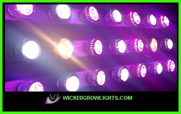 red blue led grow light bulbs flowering stage 2 band
