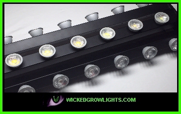 warm cool cob led grow bulbs big bud dense big buds