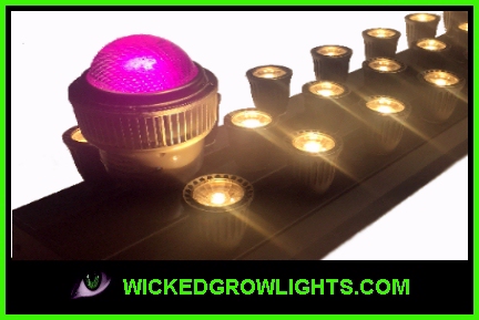 low heat grow bulbs gu10 e27 cob led closet light