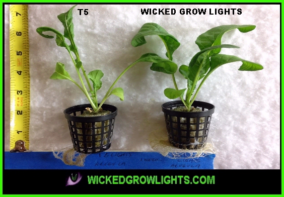 t5_cob_led_grow_light_cfl_greenhouse_lighting_farming