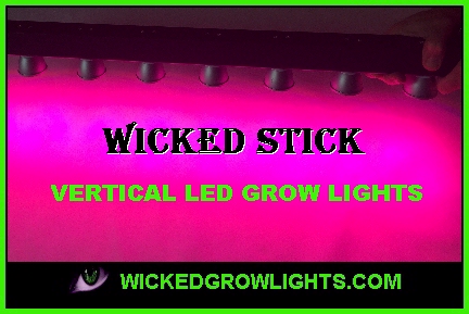 vertical gardening grow lights room tent