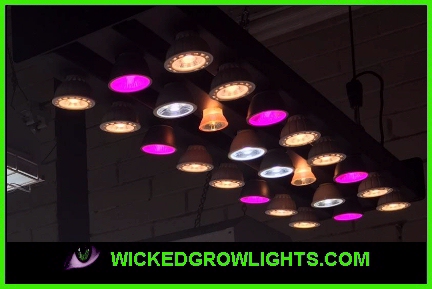 indoor gardening warehouse room tent medical grow lights led cob full spectrum