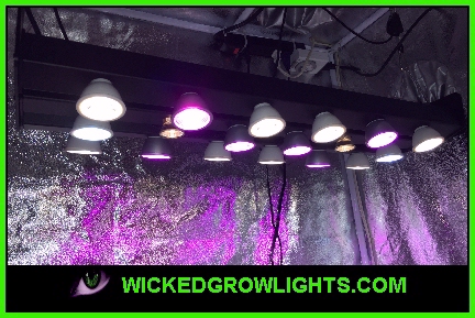 led grow light spectrum medical plants tent 