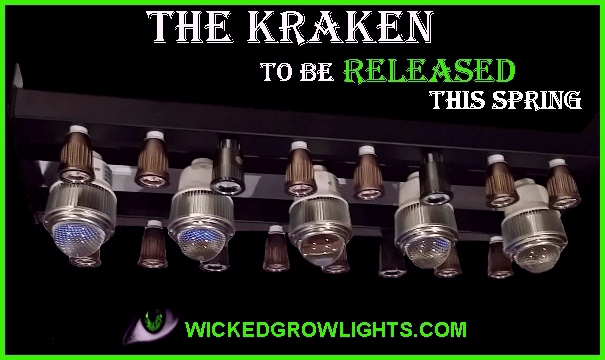 wicked grow lights kraken powerful hydroponic cob led cannabis cup